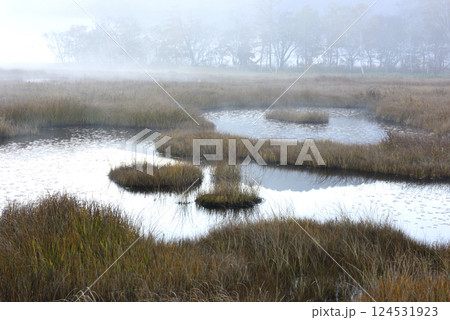 尾瀬ヶ原上田代から望む早朝の池塘 124531923