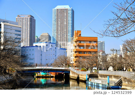 黒船橋/大横川より隅田川方面を望む(東京都江東区)【2025.3】 黒船橋/大横川より隅田川方面を望む(東京都江東区)【2025.3】 124532399