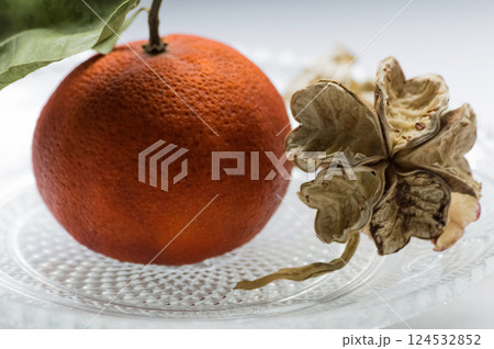 Dryed tangerine with a dry green leaf and a peony seed capsule on a glass plate. Aging, wilting and drying. Obsolete and dying. 124532852