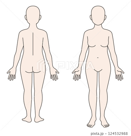 女性の全身 前・後ろ 女性の全身 前・後ろ 124532988