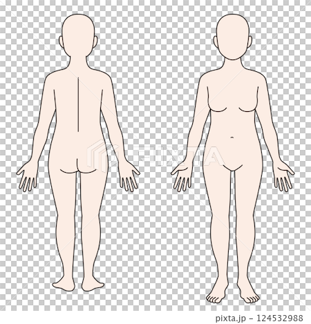 Woman's whole body, front and back 124532988