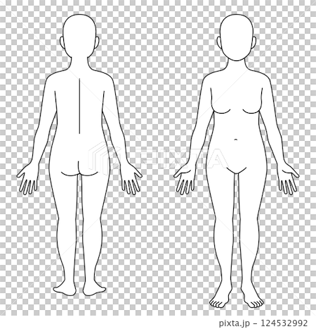 Woman's whole body, front and back 124532992