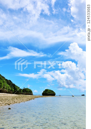 沖縄　石垣島　青空の川平湾 124533083