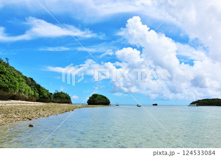 沖縄　石垣島　青空の川平湾 124533084