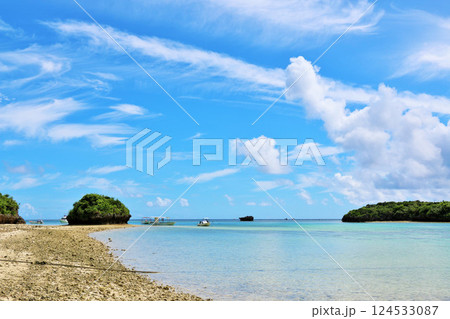 沖縄　石垣島　青空の川平湾 124533087