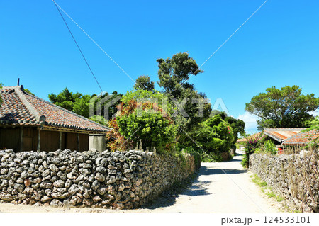 沖縄　竹富島　青空と村の風景 124533101