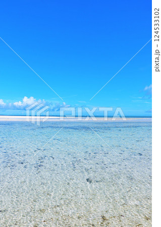 沖縄　竹富島　青空と海 124533102