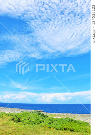 沖縄　青空と海の波照間島 124533122