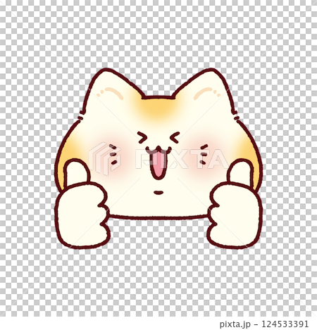 ダブルグッドサインする猫 124533391