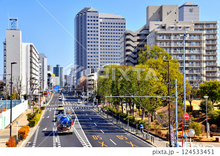 東京都江東区東陽／葛西橋通りの風景(東京都江東区)【2025.3】 124533451