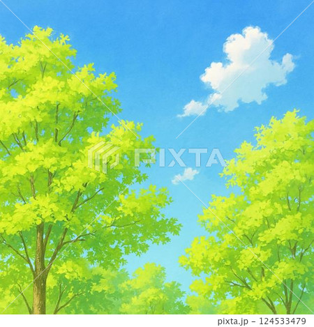 新緑 124533479