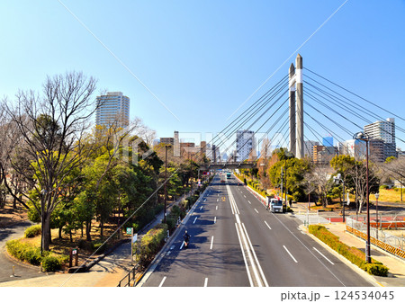 木場公園周辺/葛西橋通りの風景(東京都江東区)【2025.3】 木場公園周辺/葛西橋通りの風景(東京都江東区)【2025.3】 124534045