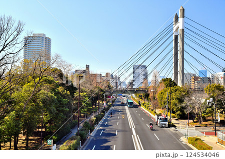 木場公園周辺／葛西橋通りの風景(東京都江東区)【2025.3】 124534046