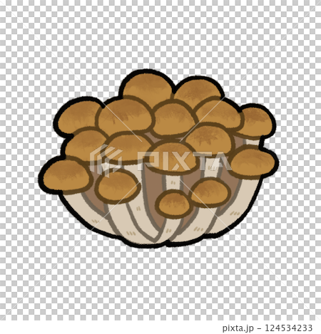 Bunshimeji 蘑菇圖 Bunshimeji 蘑菇圖 124534233