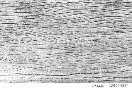 White wood texture with beautiful natural patterns in retro concept.background in vintage style for wallpaper. 124534554