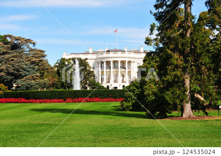 the White House in Washington DC, USA 124535024