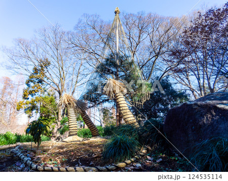 冬の風物詩　並んだかわいい藁ボッチ 124535114