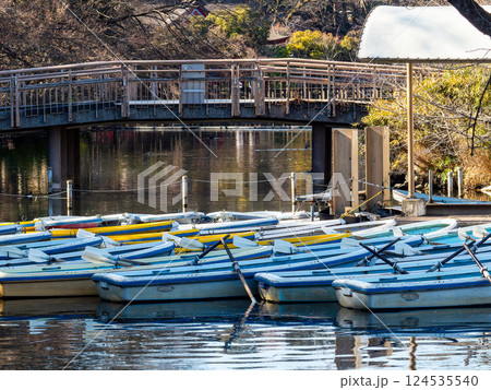 夕方のボート乗り場に集められた手漕ぎボート 124535540