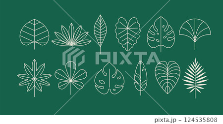 Minimalist summer tropical leaves design collection. Linear simple, modern style. Summer Minimalist summer tropical leaves design collection. Linear simple, modern style. Summer 124535808