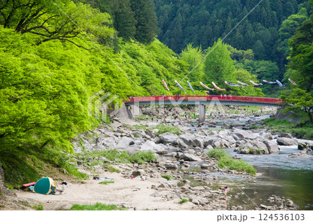 香嵐渓の新緑《愛知県豊田市足助町》 124536103