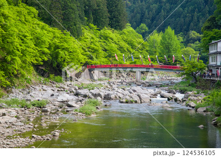 香嵐渓の新緑《愛知県豊田市足助町》 124536105