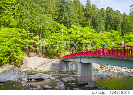 香嵐渓の新緑《愛知県豊田市足助町》 124536108