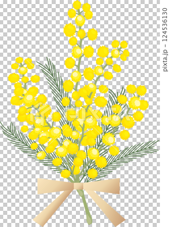 Illustration of a bouquet of mimosa 124536130