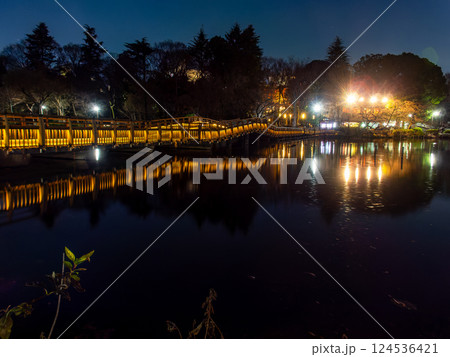 ライトアップされた夜の井の頭公園の景色 124536421