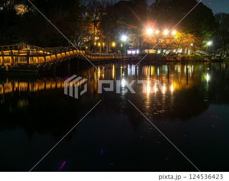 ライトアップされた夜の井の頭公園の景色 124536423