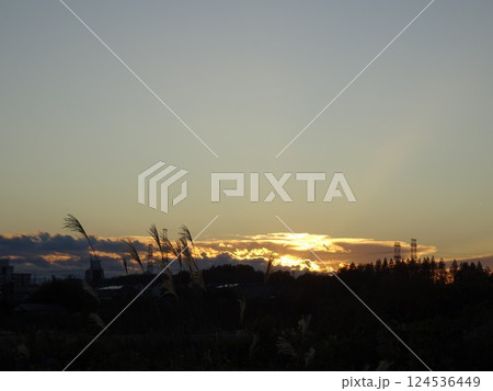 夕暮れのシルエット-1 夕暮れのシルエット-1 124536449