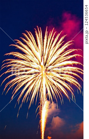 夜空いっぱいに広がる大きな一つの花火 124536654