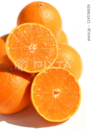 柑橘類（はるあいか） 124536826