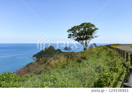 蒲江 空の公園 蒲江 空の公園 124536981