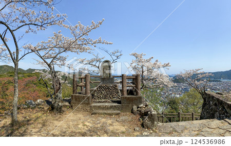 佐伯市街を望む佐伯城跡の独歩碑と桜 124536986