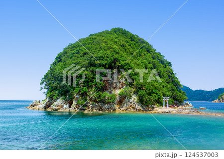 津久見市 網代島 津久見市 網代島 124537003