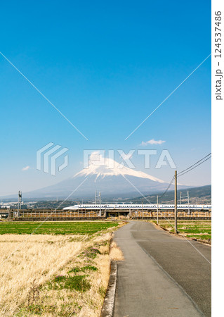 【静岡県】春の青空の下の富士山と麓を走る新幹線 124537486
