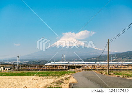 【静岡県】春の青空の下の富士山と麓を走る新幹線 【静岡県】春の青空の下の富士山と麓を走る新幹線 124537489