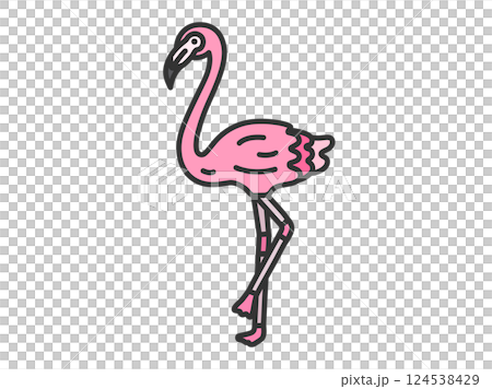 火烈鳥插圖(線條描彩色) 火烈鳥插圖(線條描彩色) 124538429