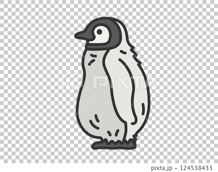 Illustration of a baby penguin (line drawing color) 124538433