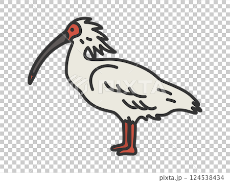 Illustration of a crested ibis (line drawing color) 124538434