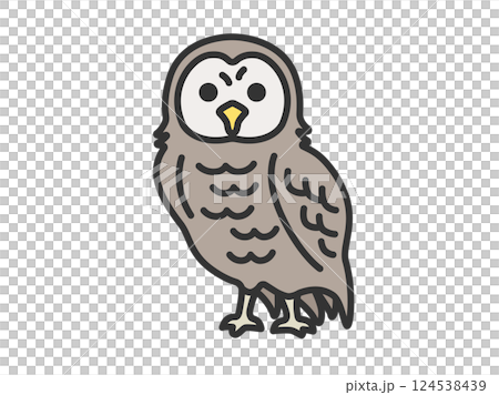 貓頭鷹插圖（線條描彩色） 124538439