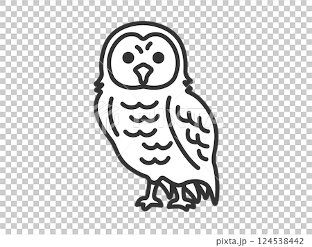 Owl (line drawing) illustration Owl (line drawing) illustration 124538442