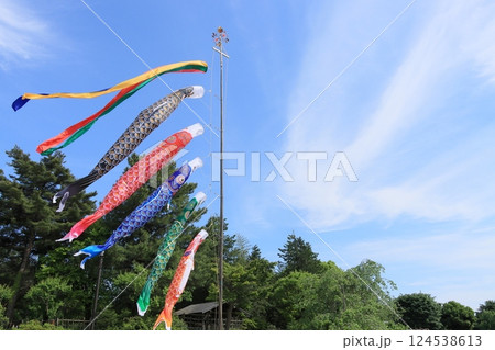 青空に泳ぐ鯉のぼり　端午の節句 124538613