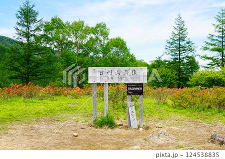 山梨 甘利山山頂とレンゲツツジ 山梨 甘利山山頂とレンゲツツジ 124538835