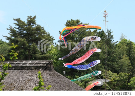 屋根より高い鯉のぼり　青空に泳ぐ鯉のぼり 124538872