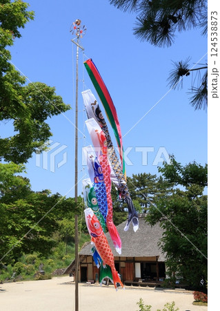 屋根より高い鯉のぼり　青空に泳ぐ鯉のぼり 124538873