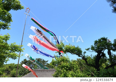屋根より高い鯉のぼり 青空に泳ぐ鯉のぼり 屋根より高い鯉のぼり 青空に泳ぐ鯉のぼり 124538874