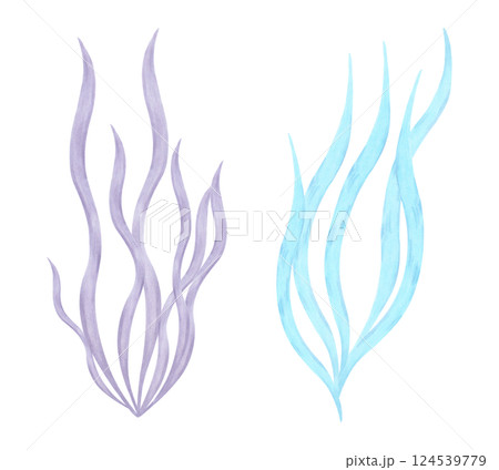 Curved underwater plant, seaweed. Watercolor and marker illustration. Marine botanical algae clipart. Hand drawn isolated art. Ocean flora shape. Suitable for cosmetic design of children's room,guide. 124539779