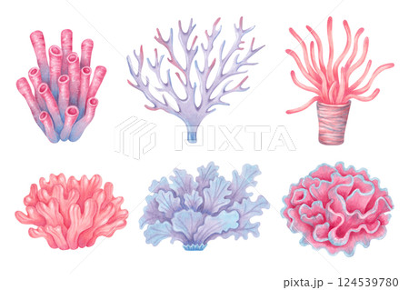 Sea corals set. Colorful ocean coral reefs. Watercolor and marker illustrations. Hand drawn isolated art. Underwater animal of seabed for kids room, shower, guidebook design. Nature ecosystem. 124539780