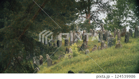 Old ancient Jewish cemetery in summer spring day. Druya, Belarus. green grass and many ancient stones. Headstone Headstones Tombstones jewish grave, forest 124539986